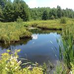 Culvert Crossing, Labrador Brook at Wood Street, Turner, Maine