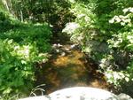 Culvert Crossing, Labrador Pond Brook at Labrador Pond Rd., Sumner, Maine