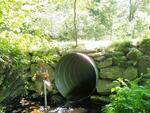 Culvert Crossing, Labrador Pond Brook at Labrador Pond Rd., Sumner, Maine