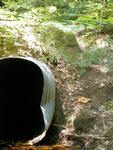 Culvert Crossing, Lakin Brook at Peabody Pond Rd, Sebago, Maine