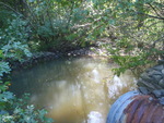 Culvert Crossing, Lambert Point Stream at Staples Point Rd, Freeport, Maine