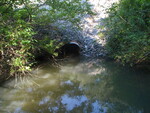 Culvert Crossing, Lambert Point Stream at Staples Point Rd, Freeport, Maine