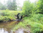 Culvert Crossing, Lapham Brook at Marston Hill Rd, Minot, Maine