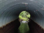 Culvert Crossing, Lapham Brook at Marston Hill Rd, Minot, Maine
