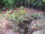 Culvert Crossing, Leavitt Brook at Canton Rd, Livermore, Maine