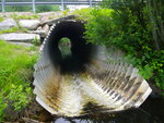 Culvert Crossing, Leavitt Brook at Emery Corner, Limerick, Maine