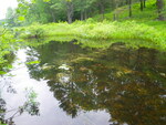 Culvert Crossing, Leavitt Brook at Emery Corner, Limerick, Maine