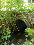 Culvert Crossing, Leavitt Brook at Lake House Rd, Naples, Maine
