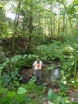 Culvert Crossing, Leavitt Brook at Lake House Rd, Naples, Maine