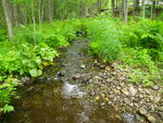 Culvert Crossing, Leavitt Brook at Pickerel Pond Rd, Limerick, Maine