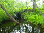 Culvert Crossing, Leavitt Brook at Pickerel Pond Rd, Limerick, Maine