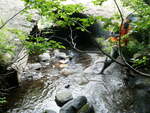 Culvert Crossing, Ledge Brook at Main St, Kingfield, Maine