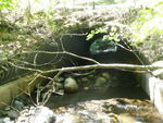Culvert Crossing, Ledge Brook at Main St, Kingfield, Maine