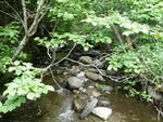 Culvert Crossing, Ledge Brook at Main St, Kingfield, Maine