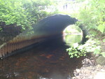 Culvert Crossing, Ledge Cut Brook at Penobscot Ave, Millinocket, Maine