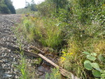 Culvert Crossing, Ledge Cut Brook at Railroad, Millinocket, Maine