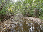 Culvert Crossing, Lemon Stream at New Vineyard Rd, New Vineyard, Maine