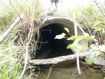Culvert Crossing, Lemon Stream at New Vineyard Rd, New Vineyard, Maine