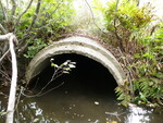 Culvert Crossing, Lemon Stream at New Vineyard Rd, New Vineyard, Maine