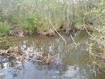 Culvert Crossing, Lemon Stream at River Rd, New Portland, Maine