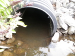Culvert Crossing, Lemon Stream at River Rd, New Portland, Maine