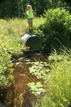 Culvert Crossing, Levensaler Brook at Tom Winston Rd, Waldoboro, Maine
