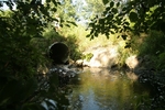 Culvert Crossing, Levensaler Brook at Tom Winston Rd, Waldoboro, Maine