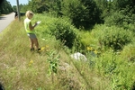 Culvert Crossing, Levensaler Brook at Tom Winston Rd, Waldoboro, Maine