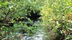 Culvert Crossing, Lindsey Brook at Route 6, Carroll Plt, Maine