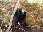 Culvert Crossing, Linscott Branch at Belden Woods Rd, Palermo, Maine