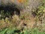 Culvert Crossing, Linscott Branch at Level Hill Rd, Palermo, Maine