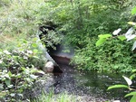 Culvert Crossing, Linscott Branch at Route 3, Palermo, Maine