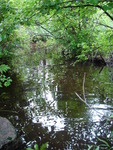 Culvert Crossing, Liscomb Brook at Crooked Rd, Bar Harbor, Maine