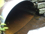 Culvert Crossing, Liscomb Brook at Crooked Rd, Bar Harbor, Maine