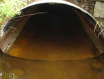 Culvert Crossing, Liscomb Brook at Crooked Rd, Bar Harbor, Maine