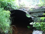 Culvert Crossing, Liscomb Brook at Crooked Rd, Bar Harbor, Maine