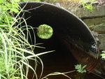 Culvert Crossing, Liscomb Brook at Crooked Rd, Bar Harbor, Maine