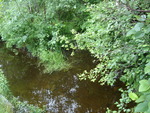 Culvert Crossing, Liscomb Brook at Crooked Rd, Bar Harbor, Maine
