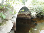 Culvert Crossing, Little Alder Brook at Oliver Rd, Lexington Twp, Maine