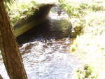 Culvert Crossing, Little Birch Stream at County Road, Milford, Maine