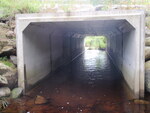 Culvert Crossing, Little Ebhorse Stream at Route 116, Woodville, Maine