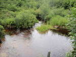 Culvert Crossing, Little Ebhorse Stream at Route 116, Woodville, Maine