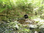 Culvert Crossing, Little Falls Brook at Lower Round Pond Rd, Bristol, Maine