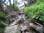 Culvert Crossing, Little Hunters Brook at Park Loop Rd, Mount Desert, Maine