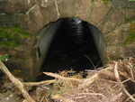 Culvert Crossing, Little Hunters Brook at Park Loop Rd, Mount Desert, Maine