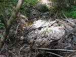 Culvert Crossing, Little Hunters Brook at Park Loop Rd, Mount Desert, Maine