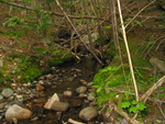 Culvert Crossing, Little Hunters Brook at Park Loop Rd, Mount Desert, Maine