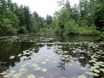 Culvert Crossing, Little Ossipee Pond at Mclucas Rd, Waterboro, Maine