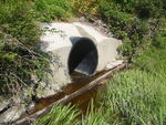 Culvert Crossing, Little River at Flying Point Rd, Freeport, Maine