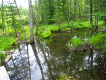 Culvert Crossing, Little River at Long Pond Rd, Cornish, Maine